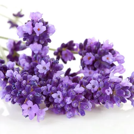 Geniesserhotel Alpin Gmbh アーヘンキルヒ